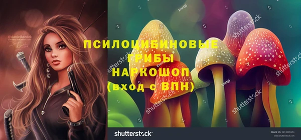 Альфа ПВП Рославль
